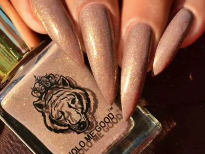 The Great Chrysanthemum Festive Collection